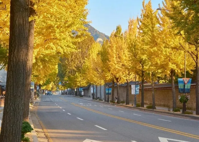 #서촌전통한옥독채 #seochon Hanok Privatehouse #4br2ba #9guests #4min Walk Gyeongbokgungstation #bukchon #gwanghwamun #gyeongbokgung #명동 Seul